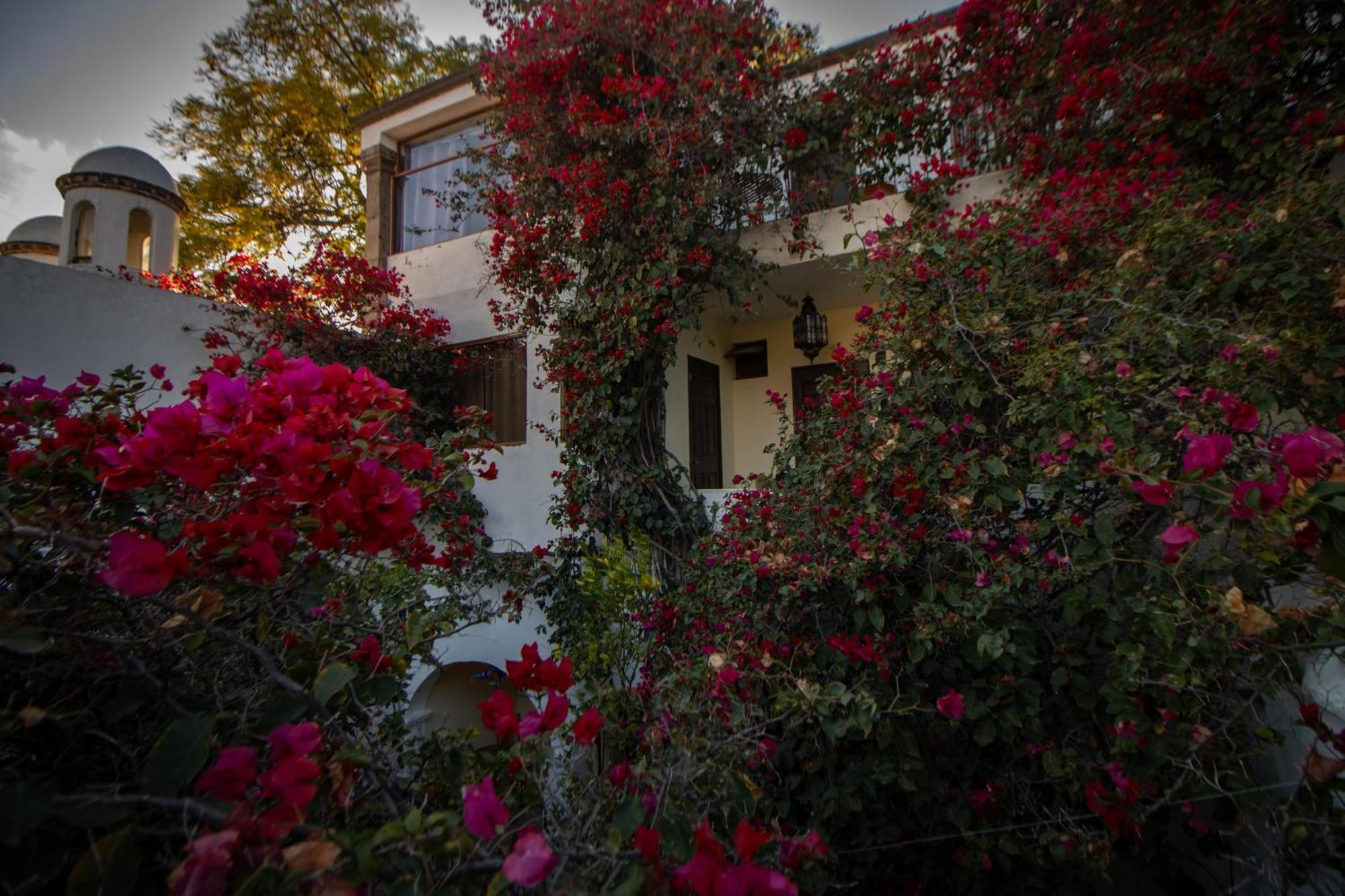 Hotel Casa San Miguel Альенде Экстерьер фото